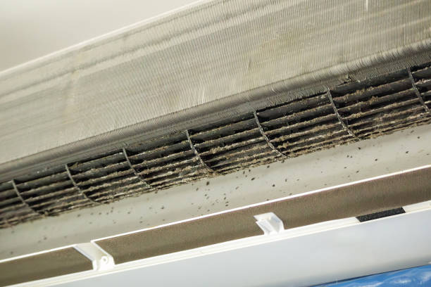 Best Affordable Air Duct Cleaning  in Forest Oaks, NC